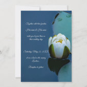 池の白い睡蓮、自然写真 招待状 (裏面)