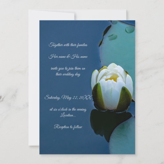 池の白い睡蓮、自然写真 招待状 (裏面)