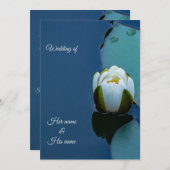 池の白い睡蓮、自然写真 招待状 (正面/裏面)