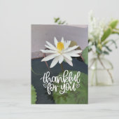 池の白い蓮のサンキューカード サンキューカード (スタンド正面)