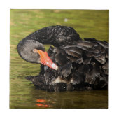 池の白鳥 タイル (正面)