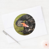 池の白鳥 ラウンドシール (封筒)