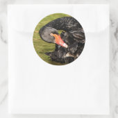 池の白鳥 ラウンドシール (バッグ)