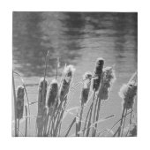 池の白黒猫 タイル (正面)