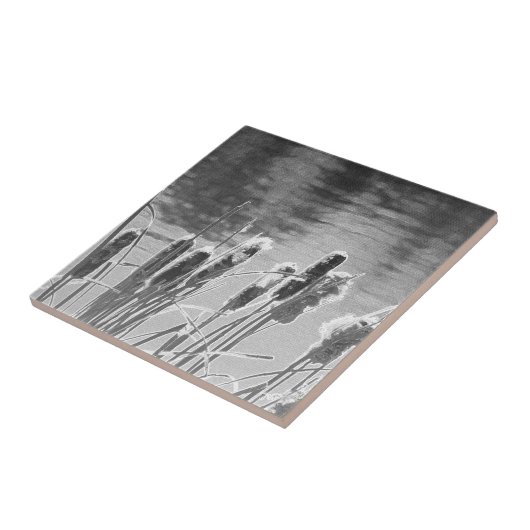 池の白黒猫 タイル (側面)