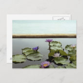 池の睡蓮海 ポストカード (正面/裏面)