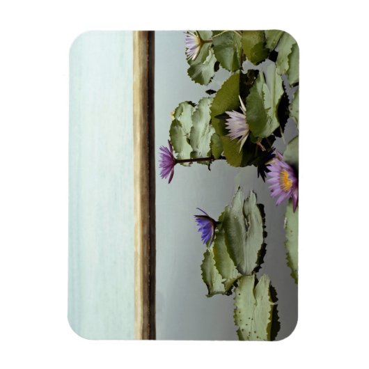 池の睡蓮海 マグネット (縦)