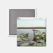 池の睡蓮海 マグネット (正面/裏面)