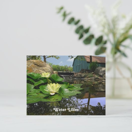 池の睡蓮 ポストカード (スタンド正面)