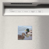 池の磁石のアヒル マグネット (インサイチュ (食洗機))