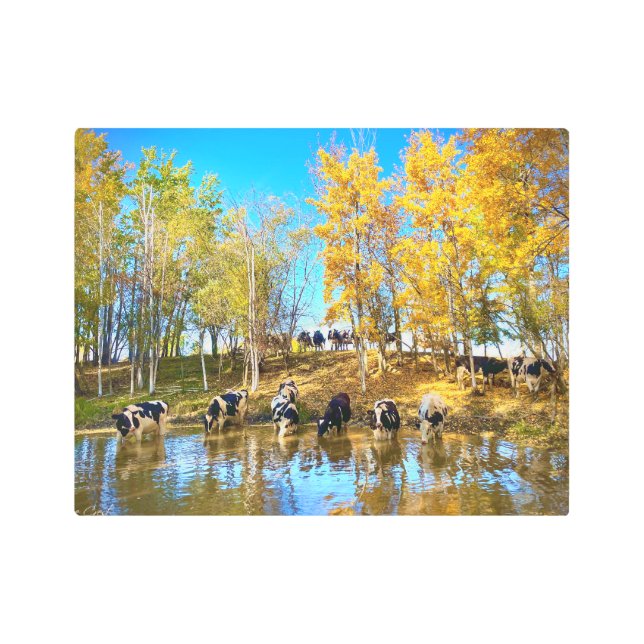 池の秋の牛 メタルプリント (正面)