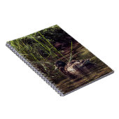 池の端で ノートブック (右側)