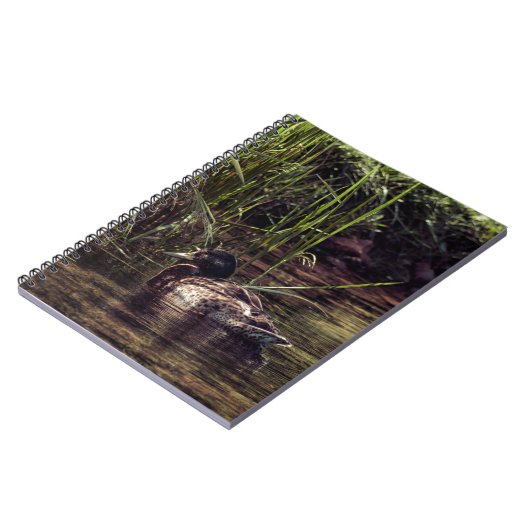 池の端で ノートブック (左側)