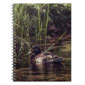 池の端で ノートブック (正面)