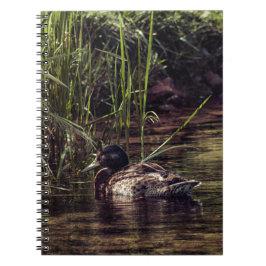 池の端で ノートブック