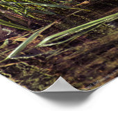 池の端で ポスター (角)