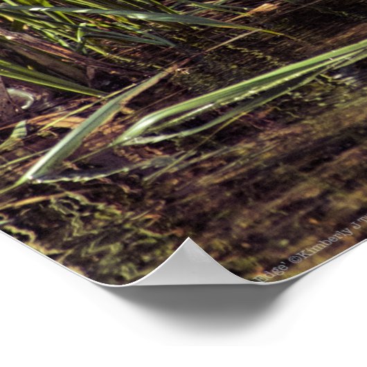 池の端で ポスター (角)