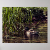 池の端で ポスター (正面)