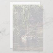 池の端で 便箋 (正面/裏面)