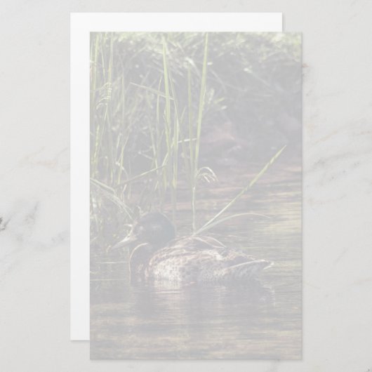 池の端で 便箋 (正面/裏面)