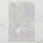 池の端で 便箋 (正面)