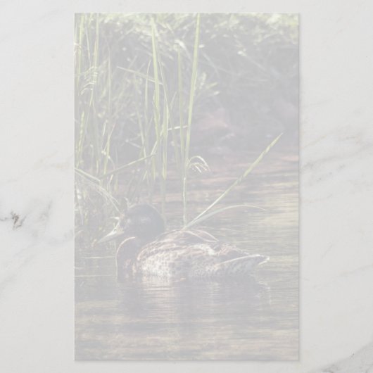 池の端で 便箋 (正面)