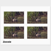 池の端で 長方形シール (シート)