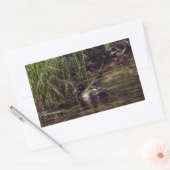 池の端で 長方形シール (封筒)