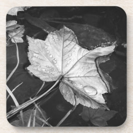 池の紅葉白黒 コースター