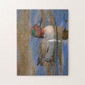 池の緑の翼のティール(緑がかった色) ジグソーパズル (縦)