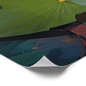 池の美しいアヒル ポスター (角)