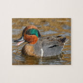 池の茂った緑の翼を持つティール(緑がかった色)のカモ ジグソーパズル (横)