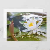 池の蓮の白花 サンキューカード (正面/裏面)
