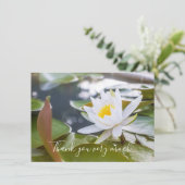 池の蓮の白花 サンキューカード (スタンド正面)