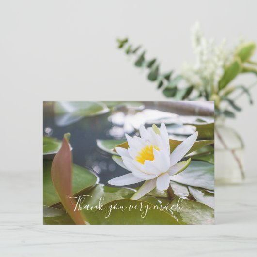 池の蓮の白花 サンキューカード (スタンド正面)