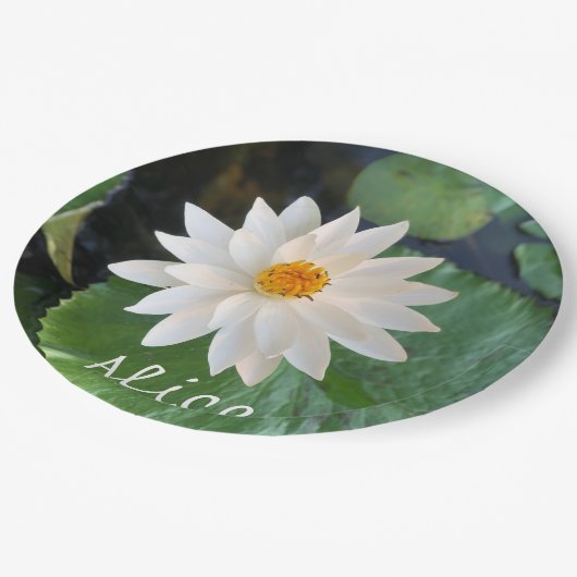 池の蓮の花の白い名前 ペーパープレート (アングル)