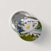 池の蓮の花の白 缶バッジ (正面&裏面)