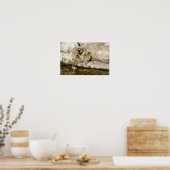 池の近くに生えるイビボン ポスター (キッチン)