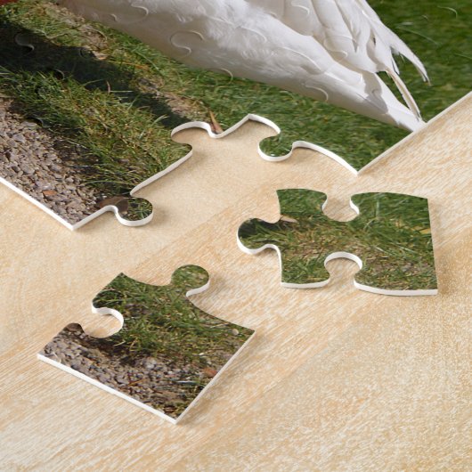 池の近くの白いガチョウ ジグソーパズル (側面)
