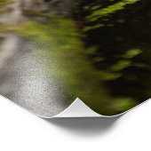 池の迷子 フォトプリント            (角)