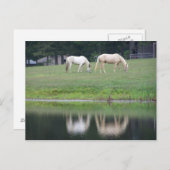 池の郵便はがきの馬 ポストカード (正面/裏面)