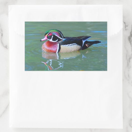 池の雄ガモ 長方形シール (バッグ)