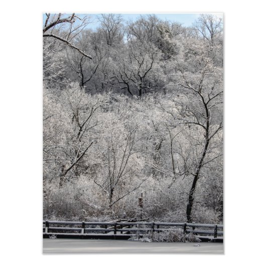 池の雪 フォトプリント            (正面)