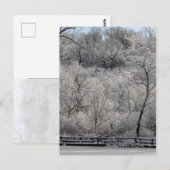 池の雪 ポストカード (正面/裏面)