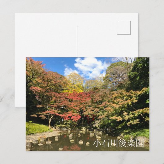 池の青楓 ポストカード (正面/裏面)