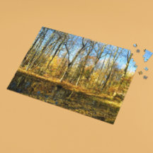 池の静謐なリフレクション