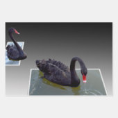 池の黒い白鳥、贈り物の包み、デカップシート、 ラッピングペーパーシート (正面3)