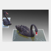 池の黒い白鳥、贈り物の包み、デカップシート、 ラッピングペーパーシート (正面)