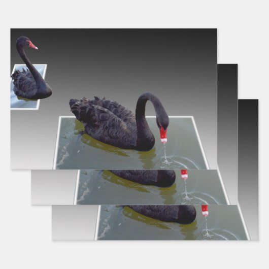 池の黒い白鳥、贈り物の包み、デカップシート、 ラッピングペーパーシート (セット)