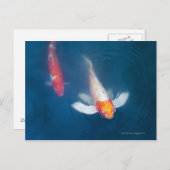 池の2匹の日本のなコイの魚 ポストカード (正面/裏面)
